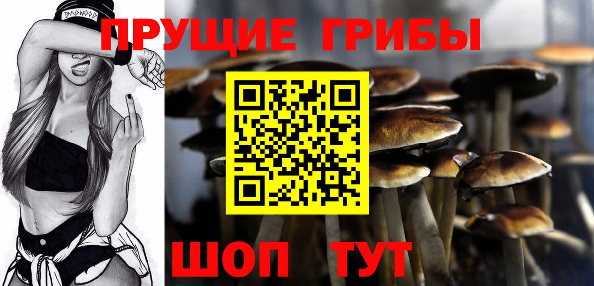 Псилоцибиновые грибы мухоморы Гусиноозёрск