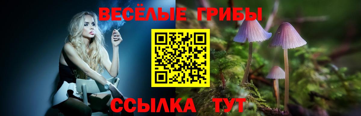 Псилоцибиновые грибы мицелий  Вход с VPN  закладки  Гусиноозёрск 